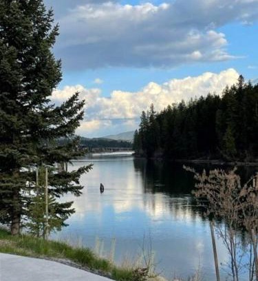 Coeur d'Alene Apartment | Riverstone Retreat