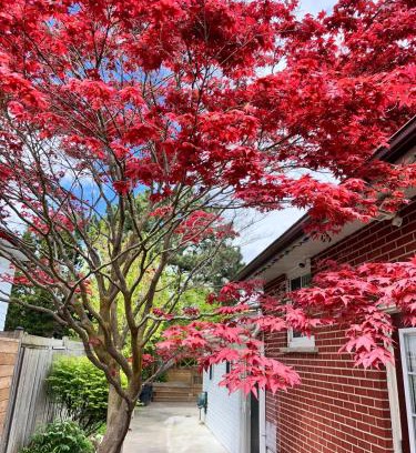 Mississauga Apartment | Riverwood Home-Three Bedrooms