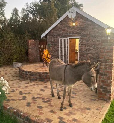 Bonnievale Apartment | Rivier-Plesier Cottage at Riggton River Farm