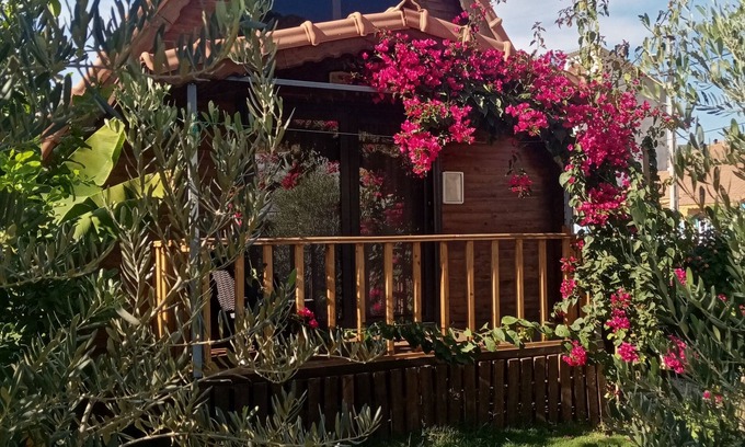 Demre Ski Chalet | Riviera Bungalow Evleri Demre