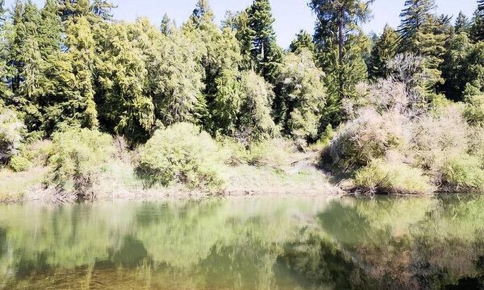Northwood House | Robin's Hood on the River w/Spectacular Views, near vineyards & coastal beaches