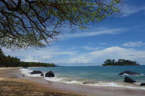 Ricketts Island House | Robinson's Hut