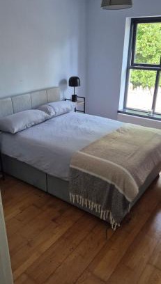 Cong Bed & Breakfast | Rock garden