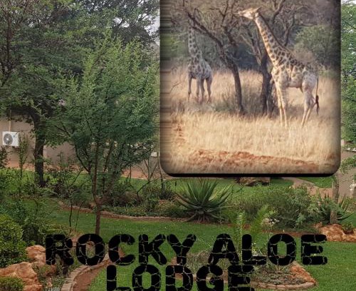 Krugersdorp Cabin | Rocky Aloe Escape