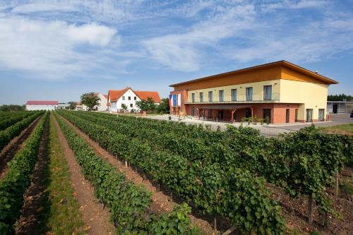 Velke Bilovice House | Rodinné Vinařství Skoupil