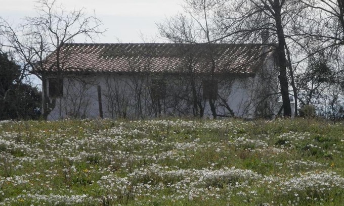 SantʼOreste House | Roman Countryside! House surrounded by nature