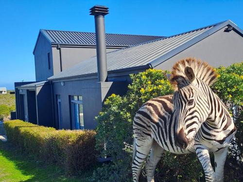 Greater Hermanus House | Romansbaai Beach House