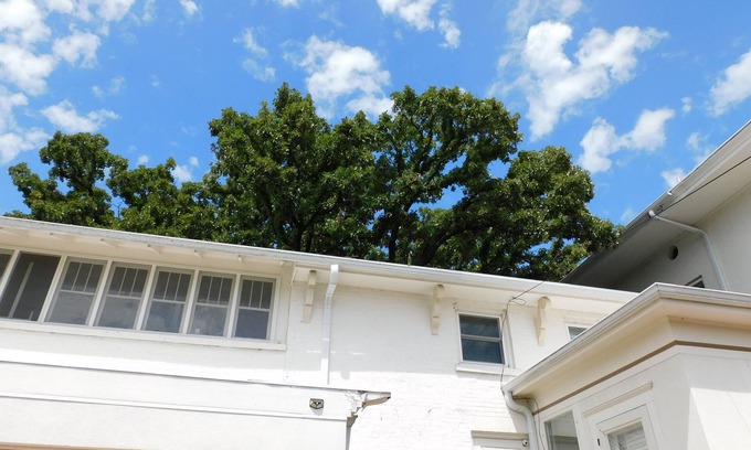Columbus Villa | Romantic 1854 The Governor Lewis Mansion Daily or Overnight rentals