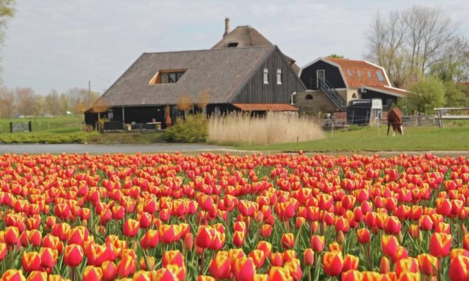 Schagen Apartment | Romantic holiday home with plenty of cycling and walking possibilities