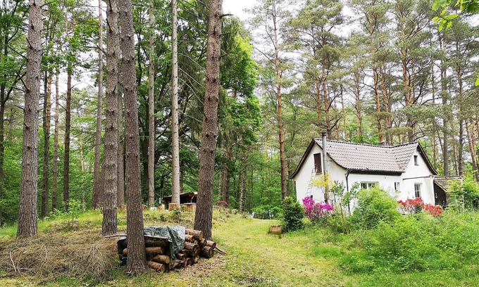 Hausbruch House | romantic little house in the magical forest