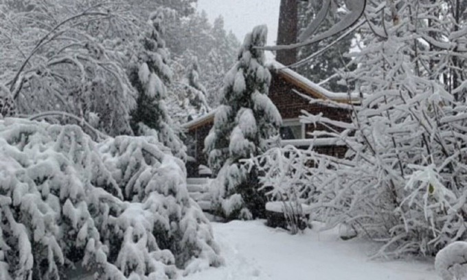 Fern Valley Cabin | Romantic One Bedroom Cabin With Hot Tub and Large Patio