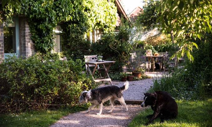 Buckfastleigh Cottage | Romantic sunny South Devon garden cottage with wifi set in garden and woodland
