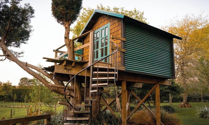 Aongatete Cabin | Romantic Tranquil Tui Treehouse