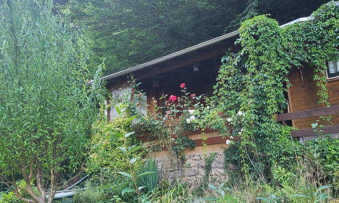 Konigstein an der Elbe Cabin | Romantische Gartenlaube mit Elbblick