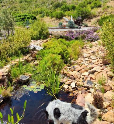 Montagu Apartment | Roodekloof
