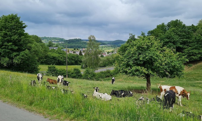 Udersdorf Apartment | Room 2 Barok, boxspring bed, shower/wc, balcony - Gasthaus Paula