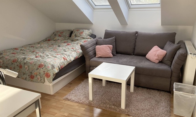 Ljubljana House | Room 3 Home Stay Free Park&bikes
