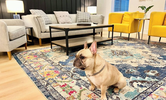 Donelson House | Room for everyone: 3 queen bedrooms & 3.5 baths sleep 10 in comfort. Stay entertained: game room with board games & smart TV after Broadway & Opry adventures. Free driveway parking Fast Wi-Fi & workspace Kid-friendly: crib, toys,