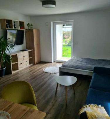 Ptuj Apartment | Rooms and apartments Vili