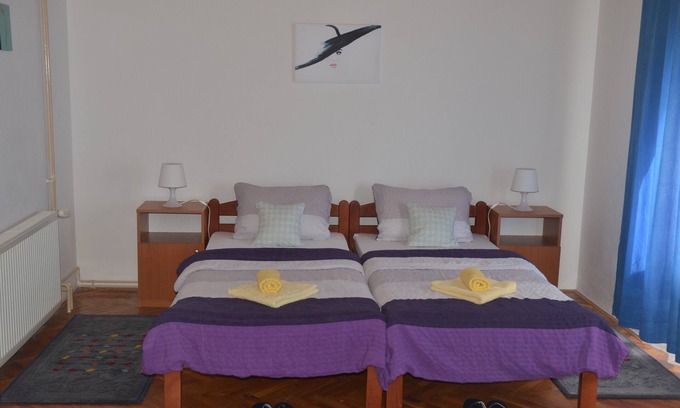 Virovitica House | Rooms MiLa - Double Room with Private Bathroom