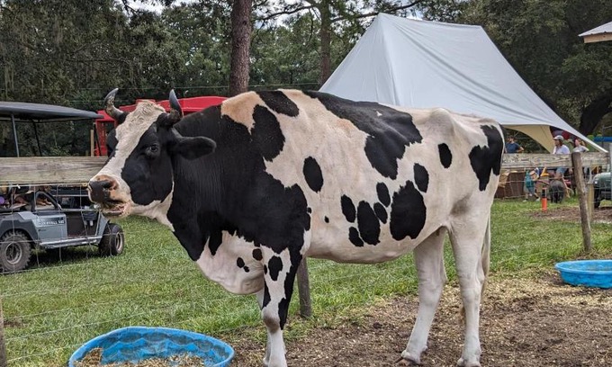 Putnam Hall House | Rooterville Animal Sanctuary