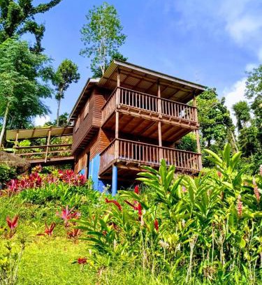 Marigot Cabin | Roots Jungle Retreat