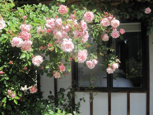 Harewood House | Rose Cottage at The Elms