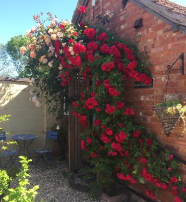 Hereford House | Rose cottage