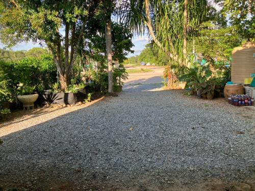 Klaeng House | Rosemary Rayong