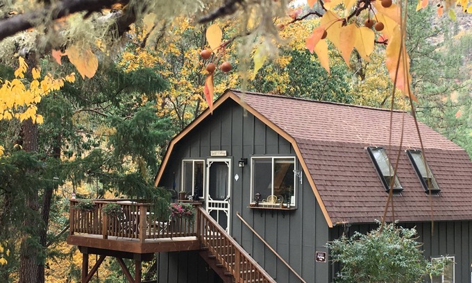 Gold Hill Cabin | Rosie's Woodland Paradise! Come relax and rejuvenate!