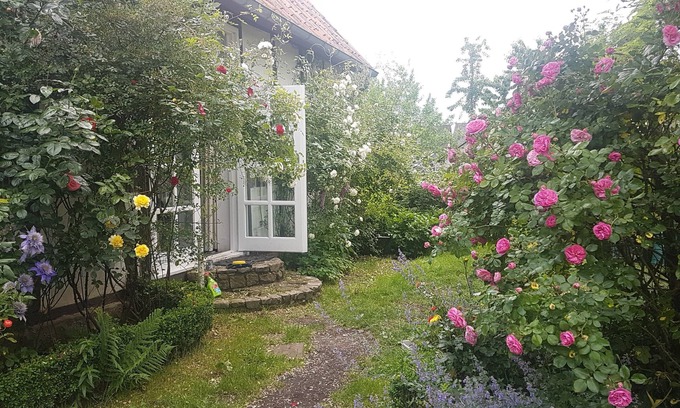 Halle Bed & Breakfast | Rosindell-cottage