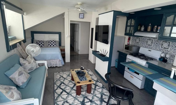 Haggatt Hall Apartment | Ross university US embassy 7 min drive available from 1st of October long term