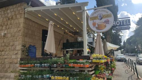 Haifa Bed & Breakfast | Rothschild Mansion