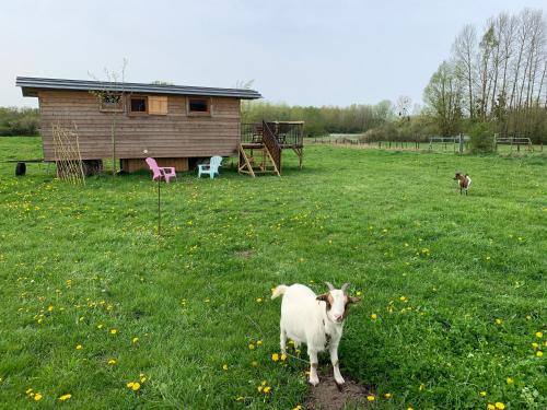 Bretigny Other | Roulotte - Au pré du chêne