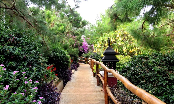Kalaw Hotel | Royal Kalaw Hills Resort