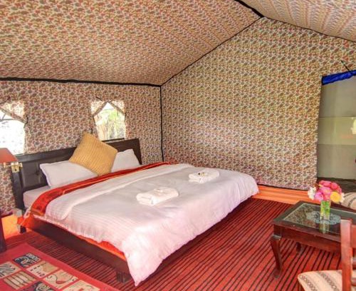 Hundur Other | Royal Riders Camp