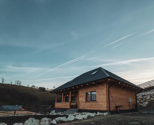 Rucar Ski Chalet | Rucăr Chalet