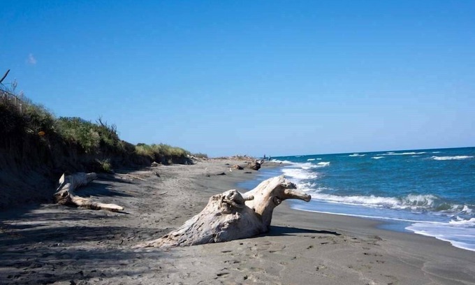 Aleria Apartment | RUMANA 1- 6 pers - ALERIA