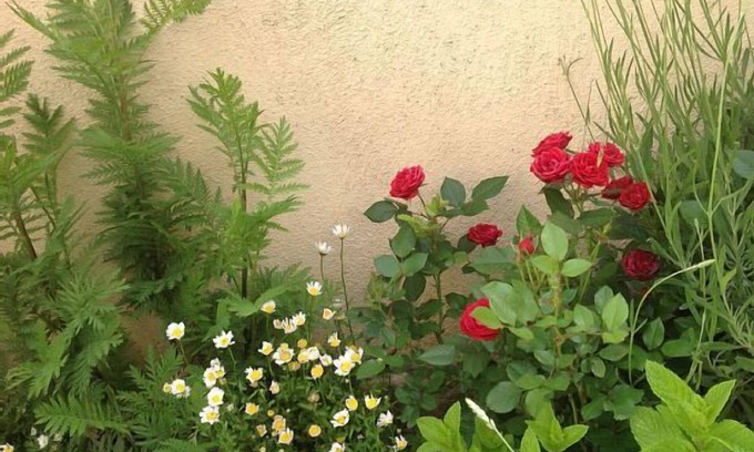 Miranda de Arga Cottage | Runa Rural House for 7 people