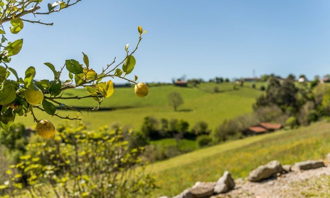 Ampuero Apartment | Rural apartment located in natural surroundings and close to the beach
