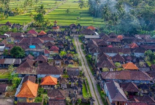 Taro House | Rural Atmosphere at Bali Coconut House in Delodsema Village