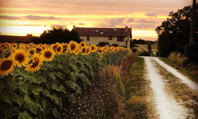 Saint-Severin House | Rural Farmhouse, Bright Open Plan, Private Infinity Pool, NEW kitchen/lounge