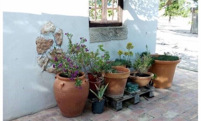 Yecla House | Rural house El Olivar de las Pepinas