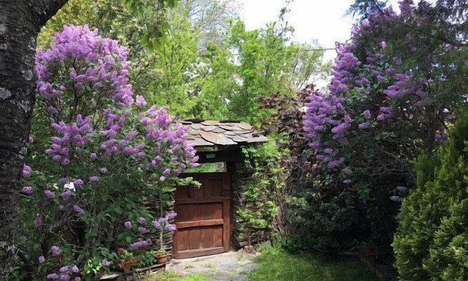 Campillo de Ranas Cottage | Rural house 1786 for 5 people