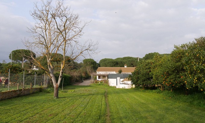 Aljaraque Cottage | RURAL HOUSE WITH POOL NEAR THE SEA in ALJARAQUE