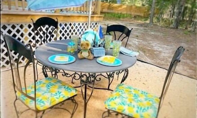 South Carolina Lakes & Blackwater Rivers House | Rural, Woods, Activities Galore, Educational & Fun