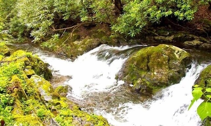 Rocky Grove Cabin | Rushing Waters Cabin- A Romantic Creek Side Retreat with Waterfalls