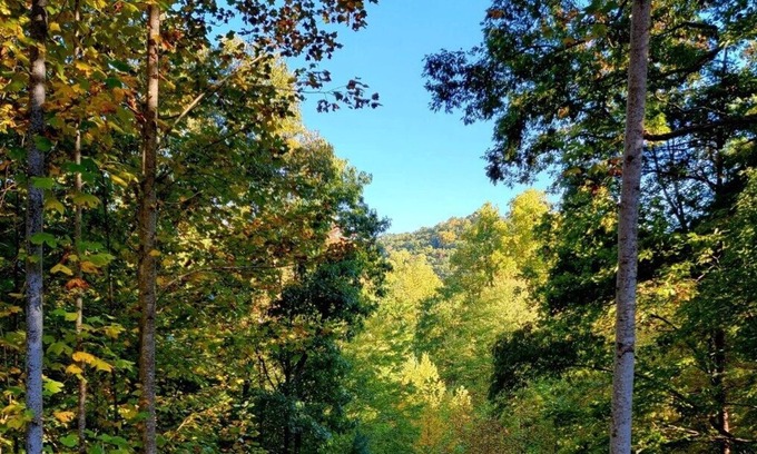 Tellico Plains Cabin | Rustic cabin close to Bald River Falls and Cherohala Skyway