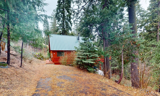 Dogwood Mountain House | Rustic Cabin in the Forest with WiFi - Perfect for Year-Round Getaways - Dogs OK