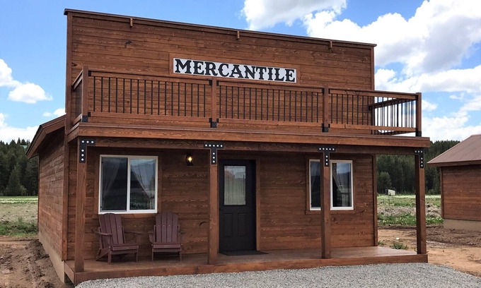 Island Park Cabin | Rustic Cabin | Incredible Views | Near Yellowstone